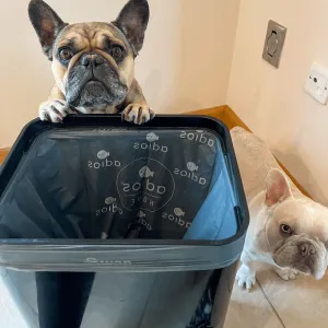 🛍️ Compostable Bin Liners with Handles – 30L 🌿