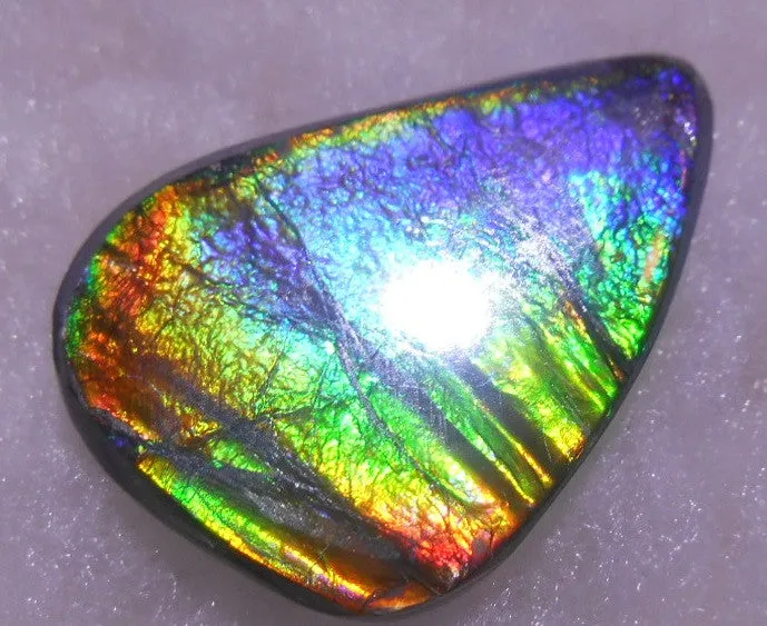 25.5 x 18mm - Natural 　Free Form FFN 197  Ammolite ナチュラル　ルース　アンモライト フリーフォーム