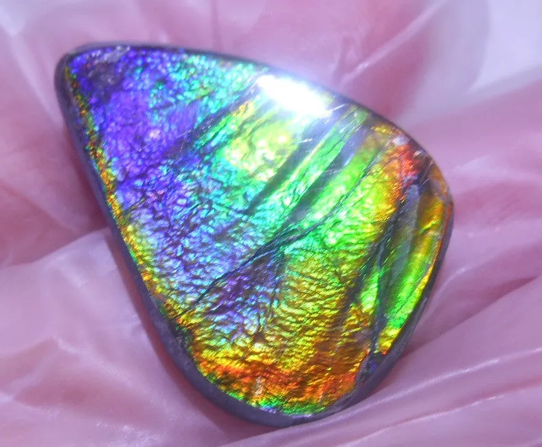 25.5 x 18mm - Natural 　Free Form FFN 197  Ammolite ナチュラル　ルース　アンモライト フリーフォーム