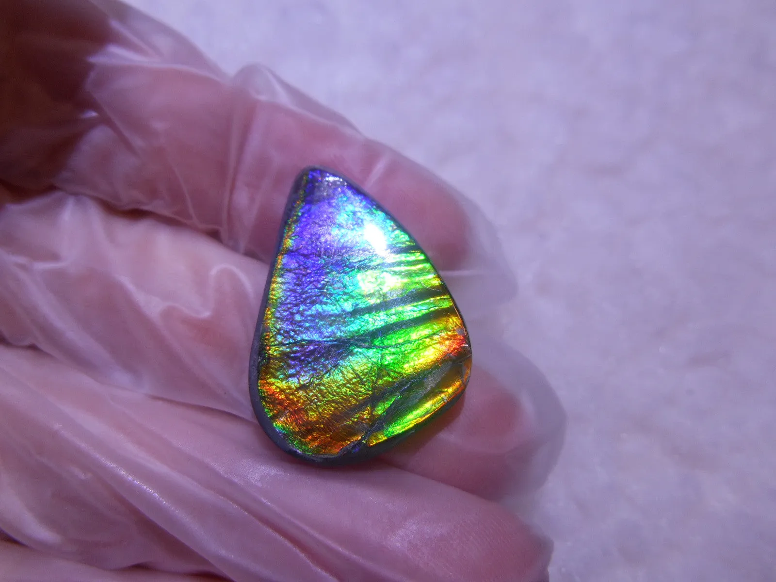 25.5 x 18mm - Natural 　Free Form FFN 197  Ammolite ナチュラル　ルース　アンモライト フリーフォーム
