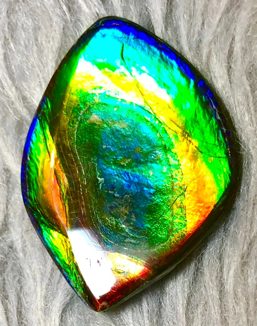 35  x 26 mm  Natural  Free Form . FFN 332 Ammolite  ナチュラル　ルース　アンモライト フリーフォーム