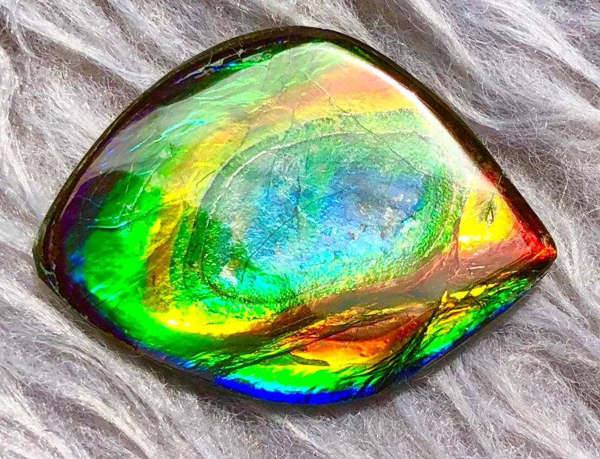 35  x 26 mm  Natural  Free Form . FFN 332 Ammolite  ナチュラル　ルース　アンモライト フリーフォーム