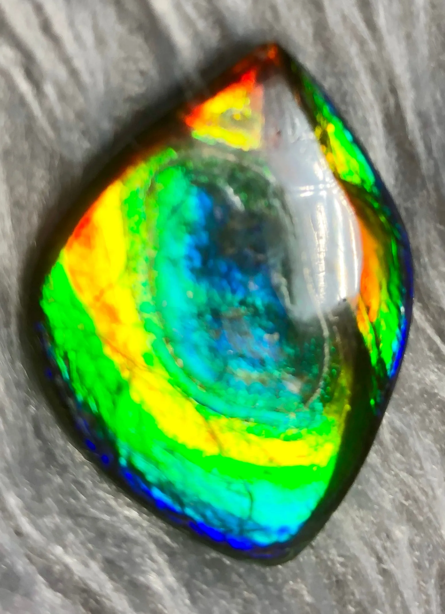 35  x 26 mm  Natural  Free Form . FFN 332 Ammolite  ナチュラル　ルース　アンモライト フリーフォーム