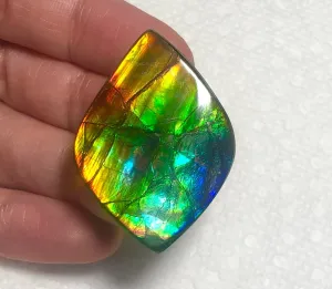 41x 29 mm Rainbow gorgeous colors! Natural  Free Form . FFNT 129  ナチュラル　ルース　アンモライト フリーフォーム