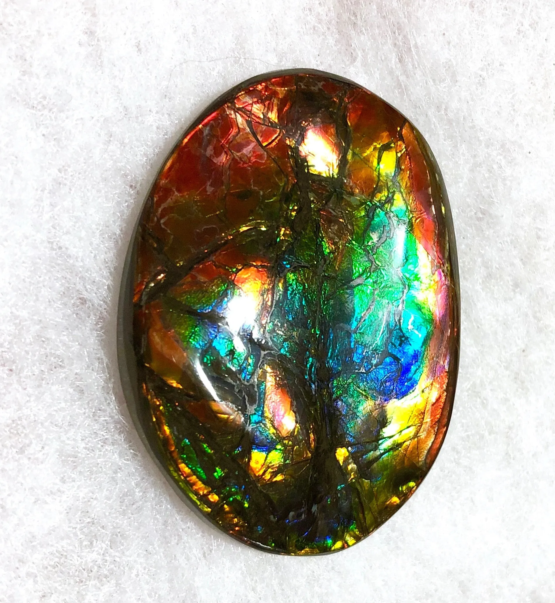55x41x6㎜  LARGE Natural  Free Form . FFNT 139 Ammolite  BEAUTY ナチュラル　ルース　アンモライト フリーフォーム