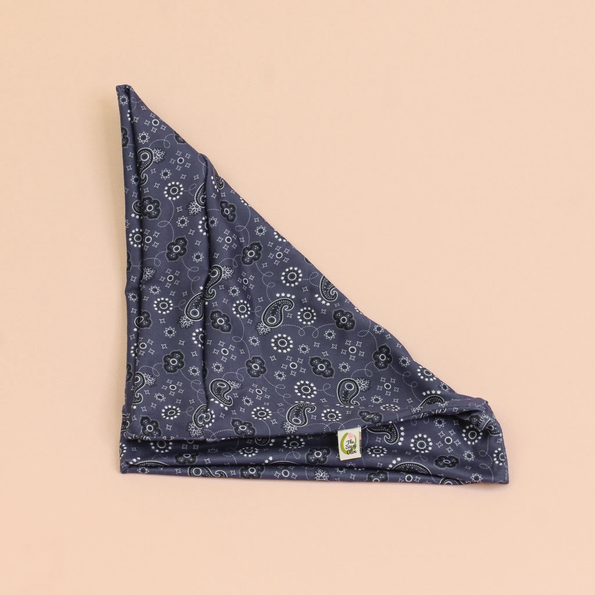 Breaker Bandana Paisley Boho Buff