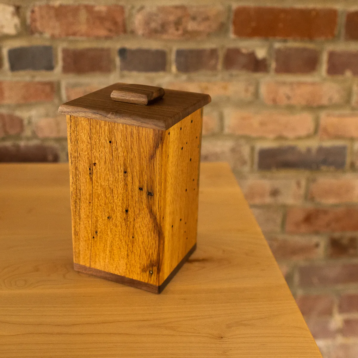 Canister