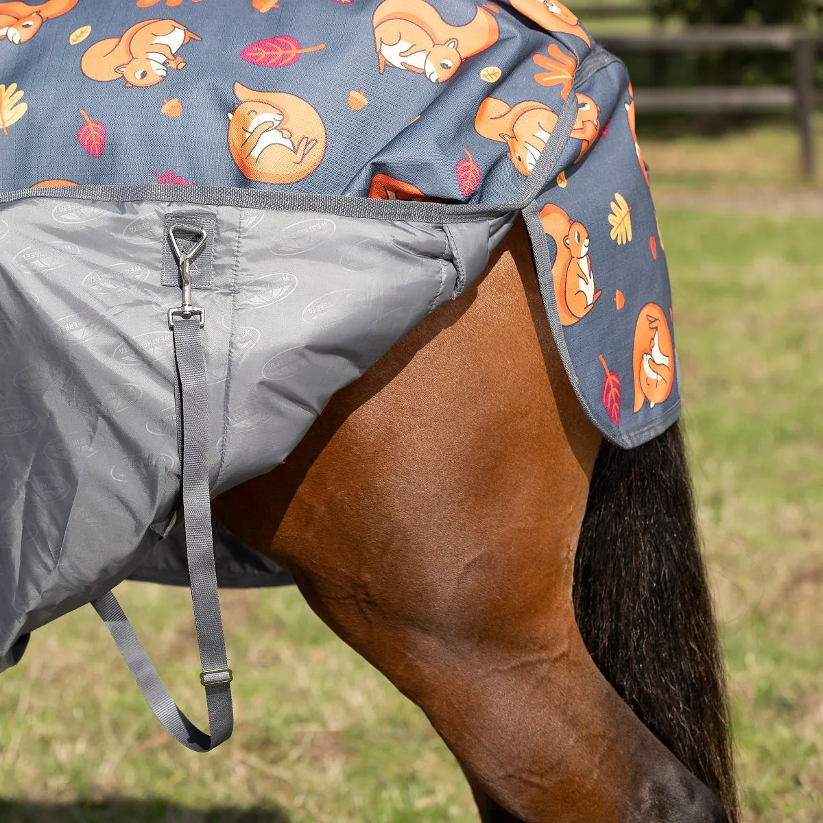 ComFiTec Essential Combo Medium Squirrel Print - 220g *Clearance*