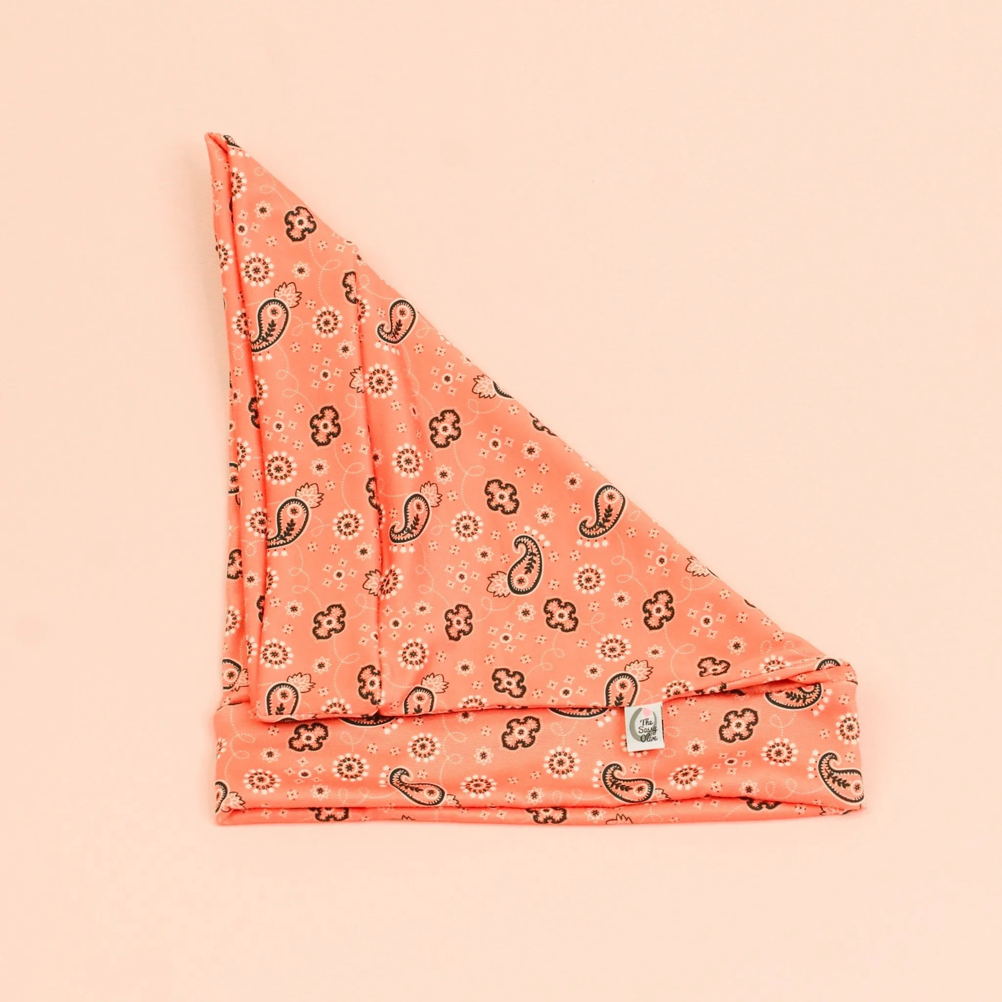 Destry Bandana Paisley Boho Buff