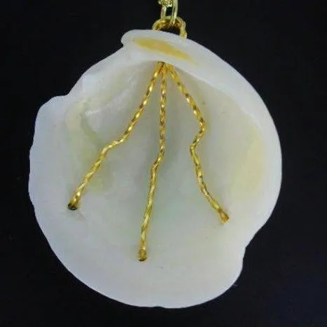 Elegant Natural White Lucina Seashell Pendant with Gold Wire & Multi-Color Glass Beads on Gold-Plated Necklace✨-Beach Boho