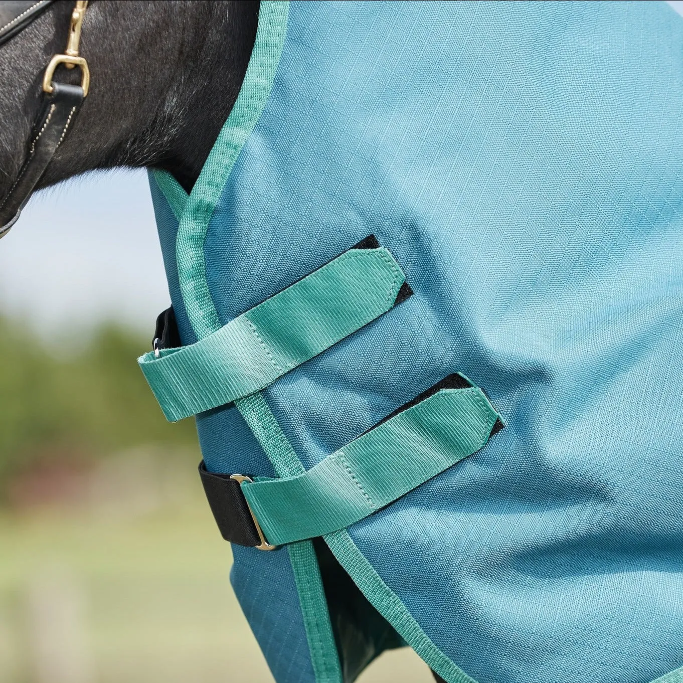 Green-Tec Detach-a-Neck Lite Plus 50g - Dragonfly Blue/Bottle Green