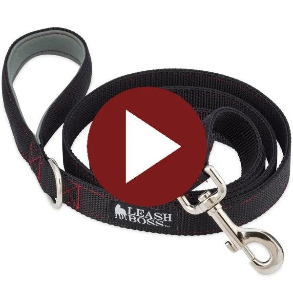 Heavy Duty Double Thick Dog Leash with Padded Handle - 6 Foot - HD Pro