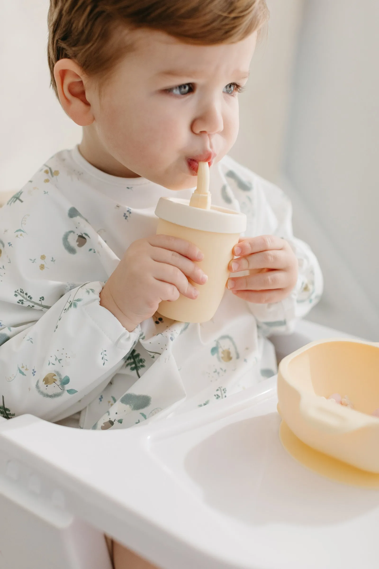Long Sleeve Bib - Hedgehogs