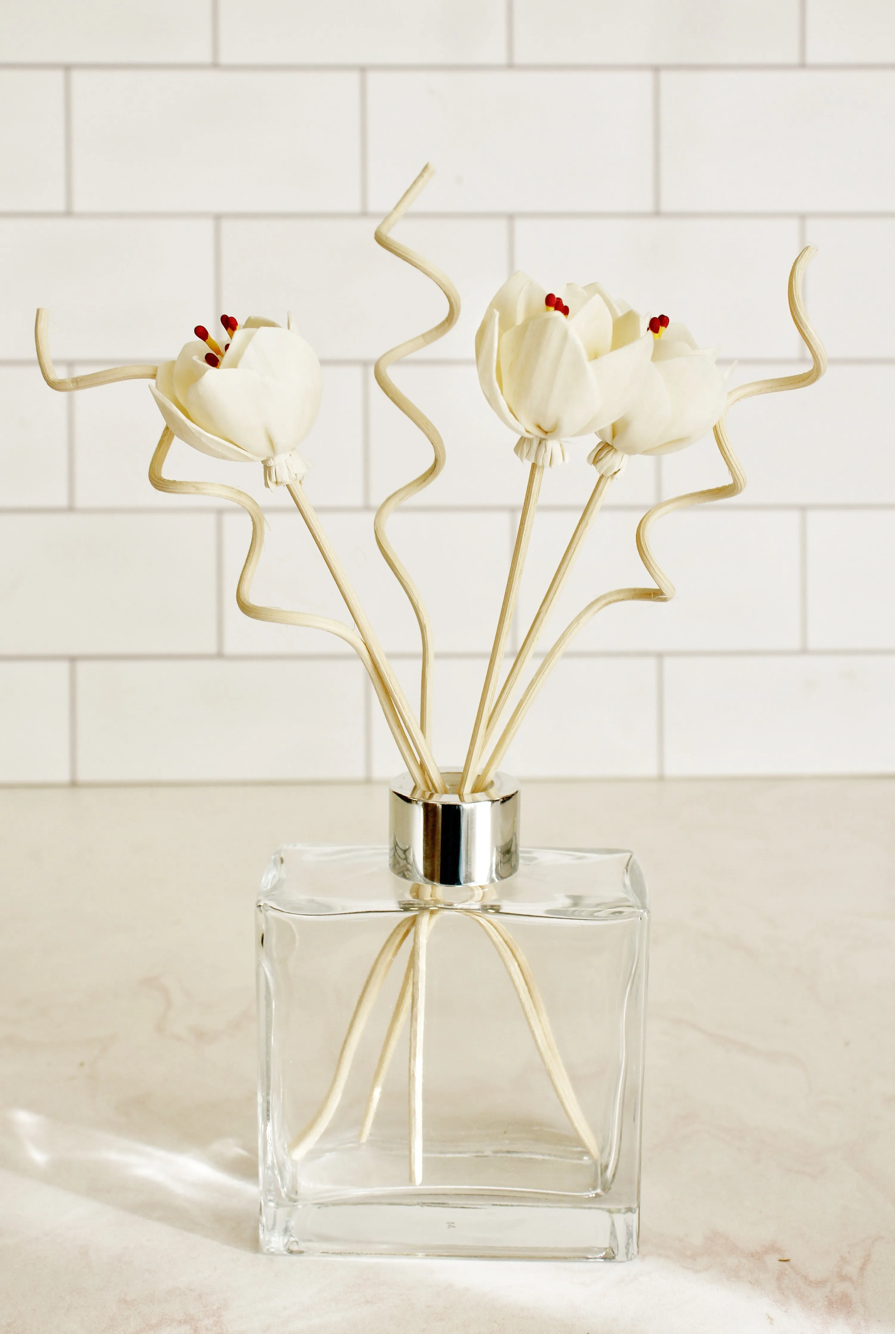 Macintosh Apple - Artisan Reed Diffuser