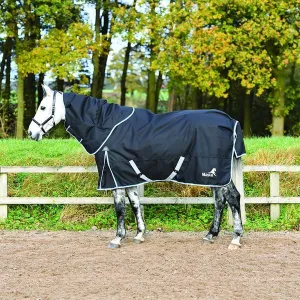Masta Tex Turnout Rug Climatemasta 100 Detach-A-Neck & Liner