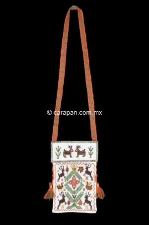 Mexican Textile Bag Embroidered by Mazahua Indigenous People