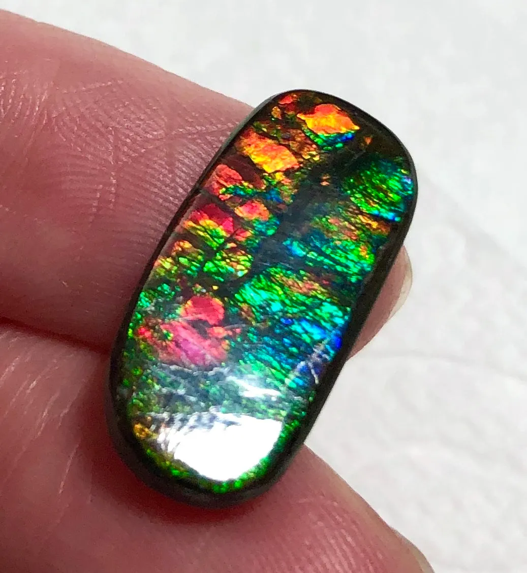Natural  Free Form . FFN 375 Small Beauty Ammolite   ナチュラル　ルース　アンモライト