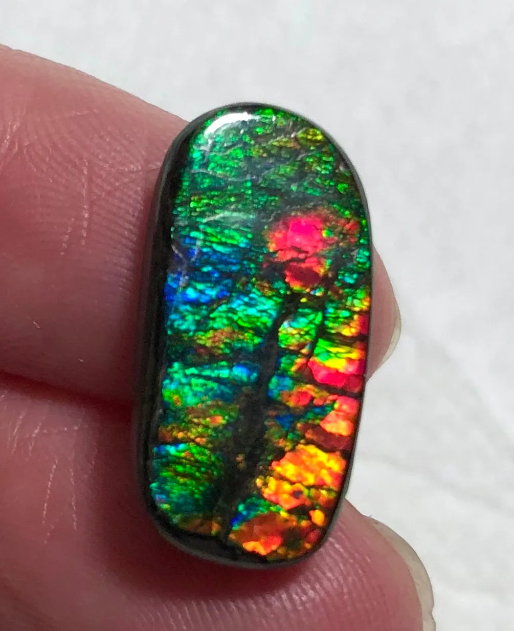Natural  Free Form . FFN 375 Small Beauty Ammolite   ナチュラル　ルース　アンモライト