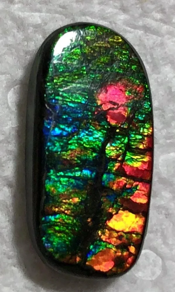Natural  Free Form . FFN 375 Small Beauty Ammolite   ナチュラル　ルース　アンモライト