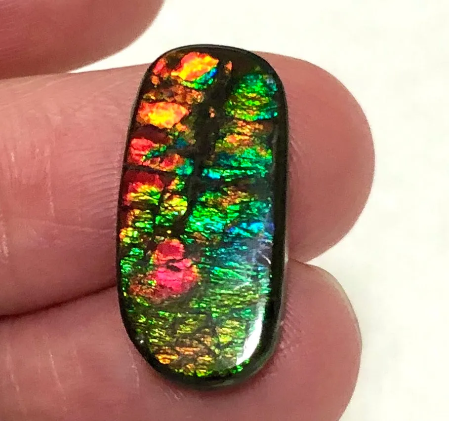 Natural  Free Form . FFN 375 Small Beauty Ammolite   ナチュラル　ルース　アンモライト
