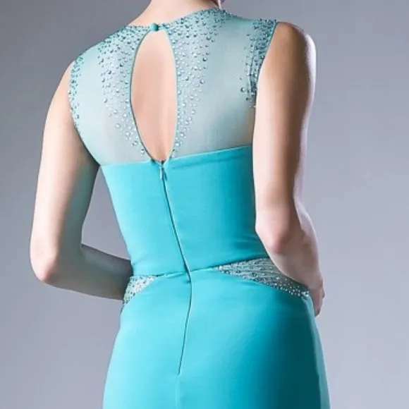 NEW SLEEVELESS STRETCH DRESS WITH EMBROIDERED TOP &amp; SHEER ZIPPER BACK CD N101