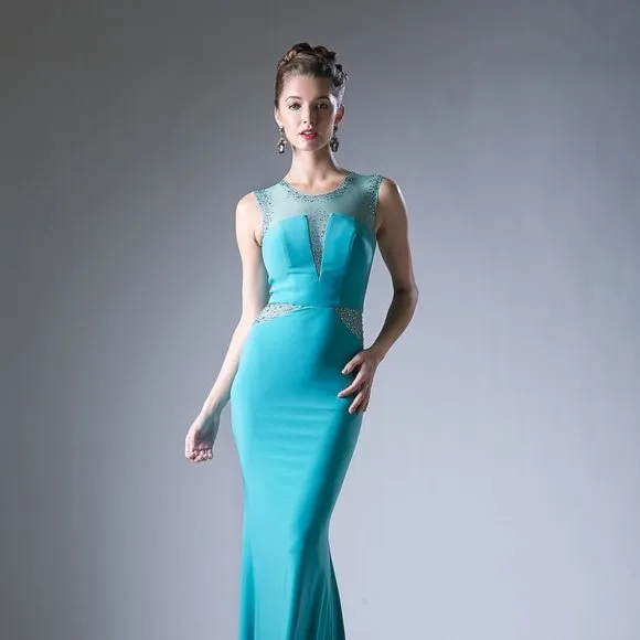 NEW SLEEVELESS STRETCH DRESS WITH EMBROIDERED TOP &amp; SHEER ZIPPER BACK CD N101