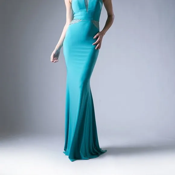 NEW SLEEVELESS STRETCH DRESS WITH EMBROIDERED TOP &amp; SHEER ZIPPER BACK CD N101