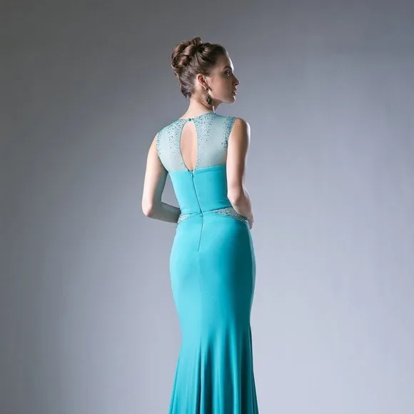 NEW SLEEVELESS STRETCH DRESS WITH EMBROIDERED TOP &amp; SHEER ZIPPER BACK CD N101