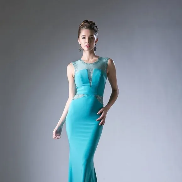 NEW SLEEVELESS STRETCH DRESS WITH EMBROIDERED TOP &amp; SHEER ZIPPER BACK CD N101