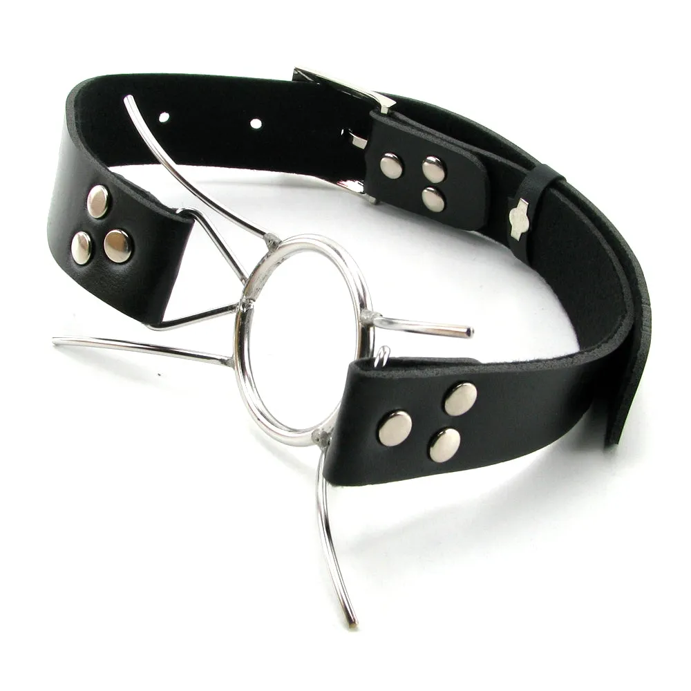 Pipedream Fetish Fantasy Series Adjustable Extreme Spider Gag Silver/Black