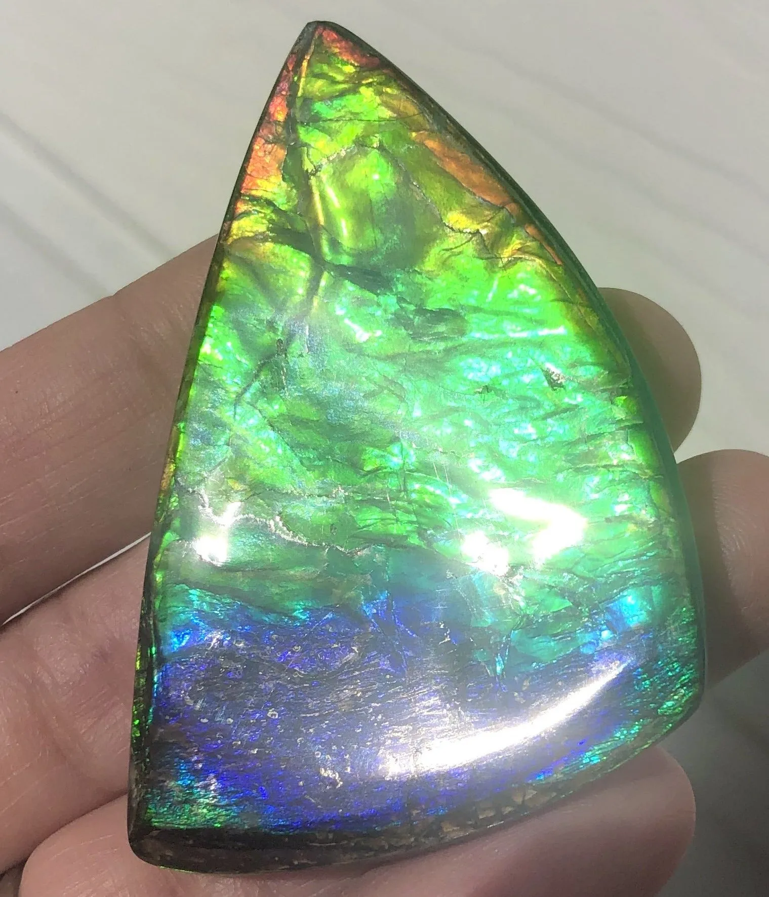 Rainbow colors  57x37 mm LARGE  Super Beauty! Natural  Free Form . FFNT 152 Ammolite  ナチュラル　ルース　アンモライト