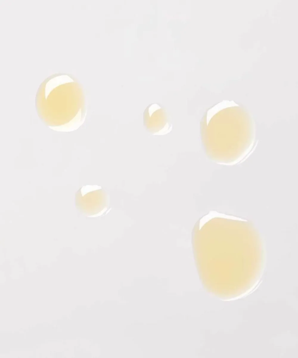 Rosehip   Black Cumin Clarifying Face Oil