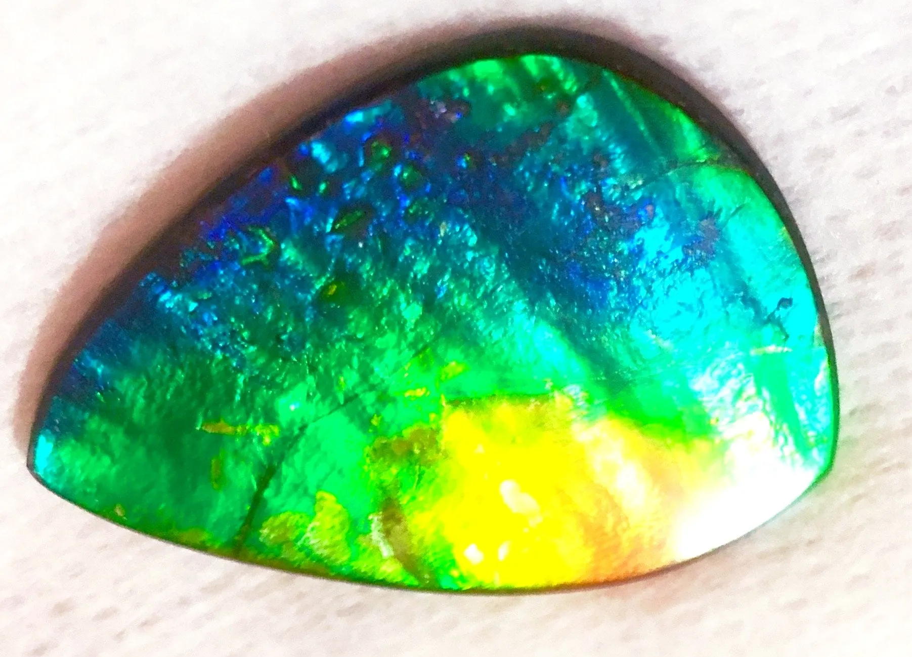 SALE! 40% OFF 38  x 26 mm  Top Grade Natural  Free Form . FFNT 111 Ammolite  ナチュラル　ルース　アンモライト フリーフォーム