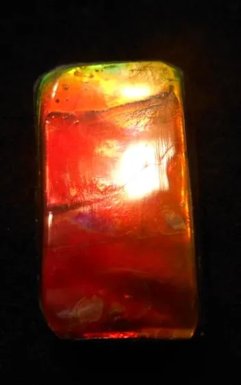 SALE 50% OFF!! 26 x 15 mm  Natural  Free Form . FFN 299 Ammolite  ナチュラル　ルース　アンモライト フリーフォーム