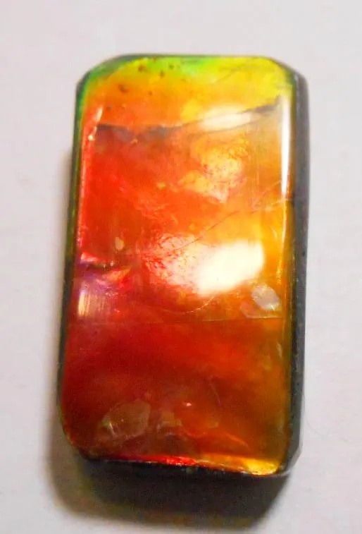 SALE 50% OFF!! 26 x 15 mm  Natural  Free Form . FFN 299 Ammolite  ナチュラル　ルース　アンモライト フリーフォーム