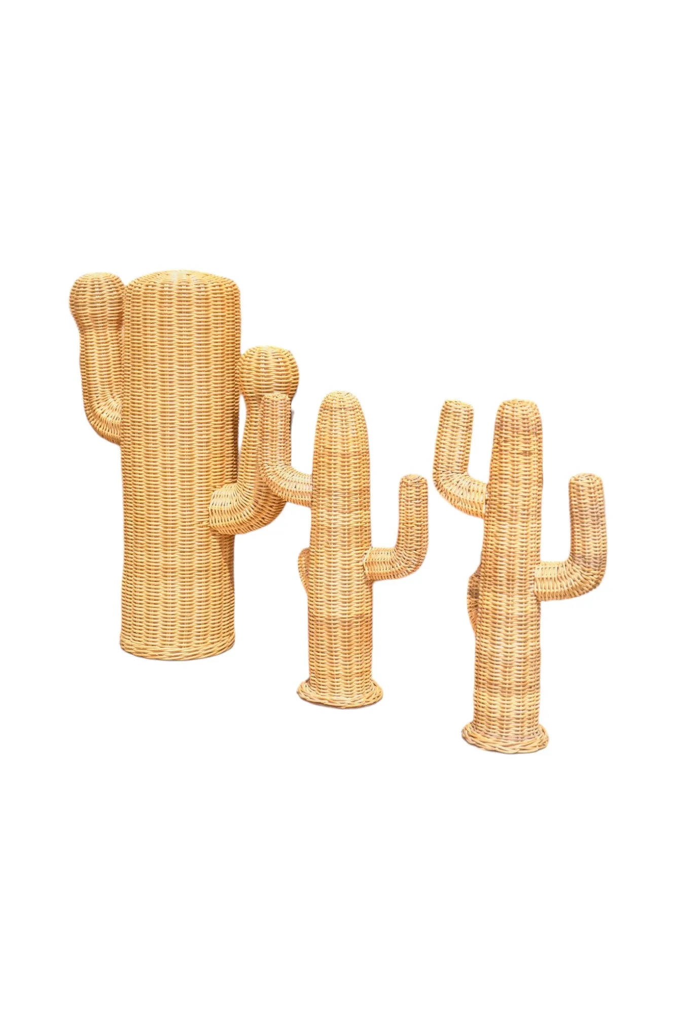 Small Rattan Cactus