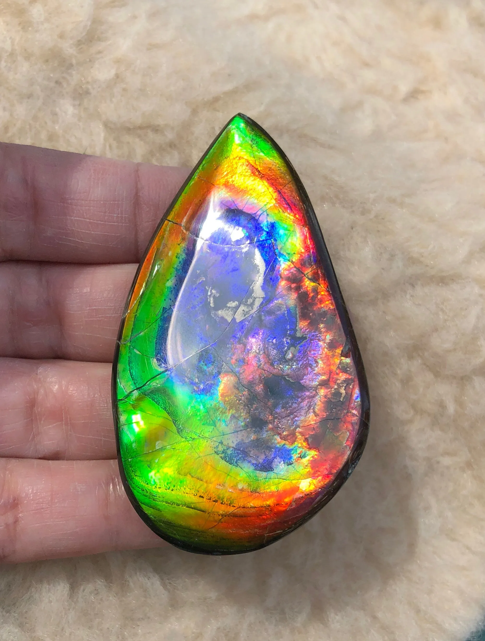 Super Rare Color!  XL! 62x34x7 mm  TOP Grade Natural  Free Form . FFNT 132 Ammolite  Free Shipping! ナチュラル　ルース　アンモライト 送料無料！