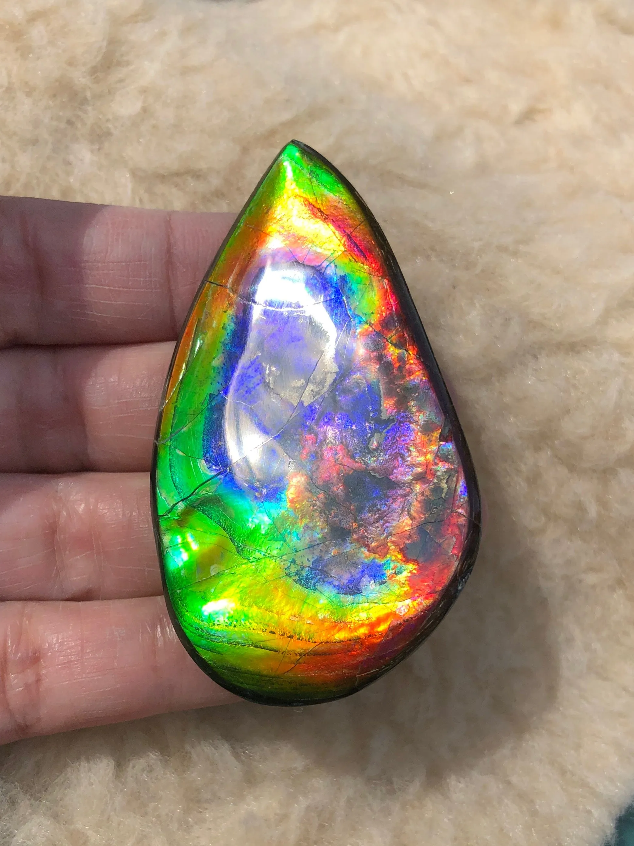 Super Rare Color!  XL! 62x34x7 mm  TOP Grade Natural  Free Form . FFNT 132 Ammolite  Free Shipping! ナチュラル　ルース　アンモライト 送料無料！