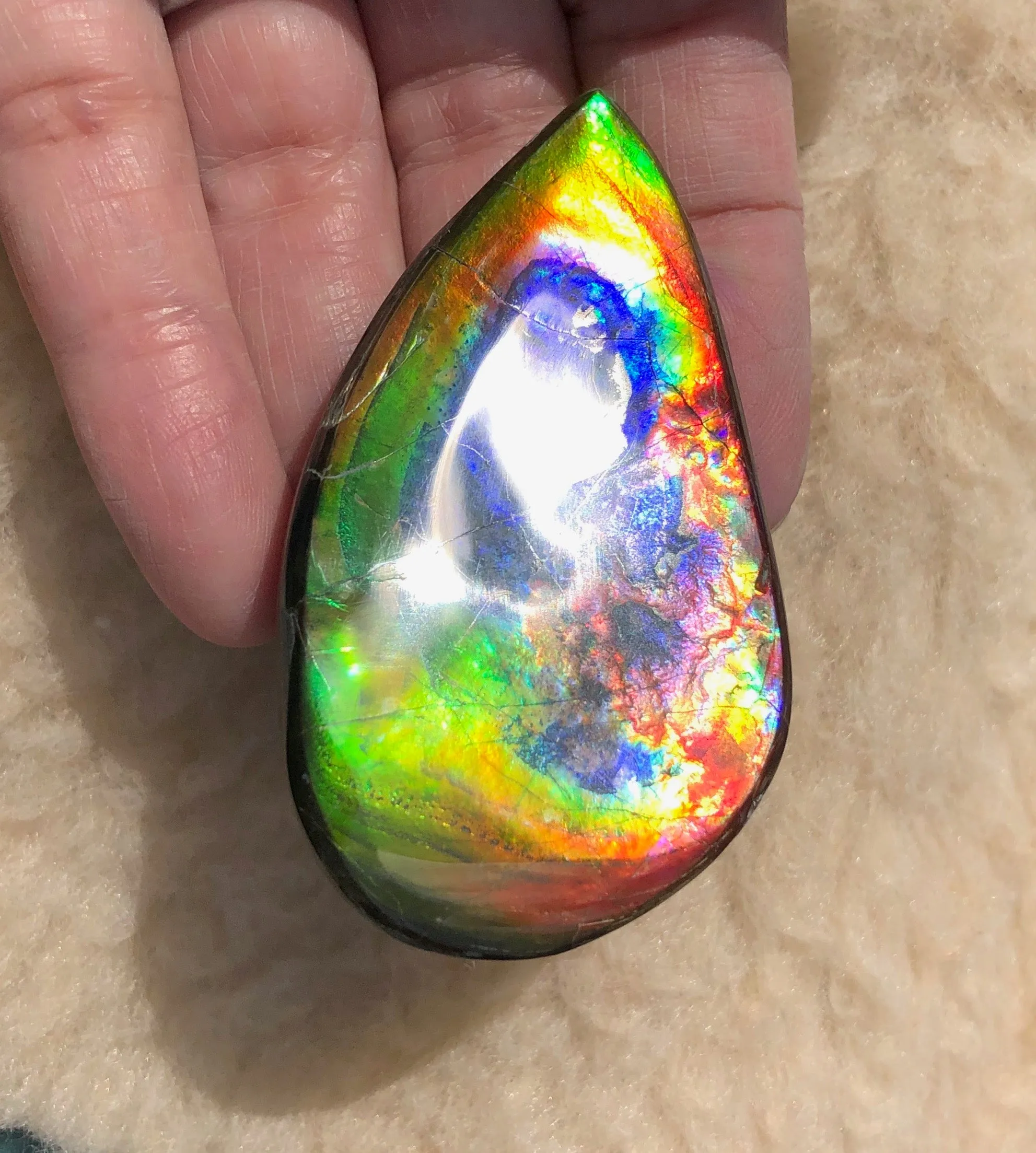 Super Rare Color!  XL! 62x34x7 mm  TOP Grade Natural  Free Form . FFNT 132 Ammolite  Free Shipping! ナチュラル　ルース　アンモライト 送料無料！
