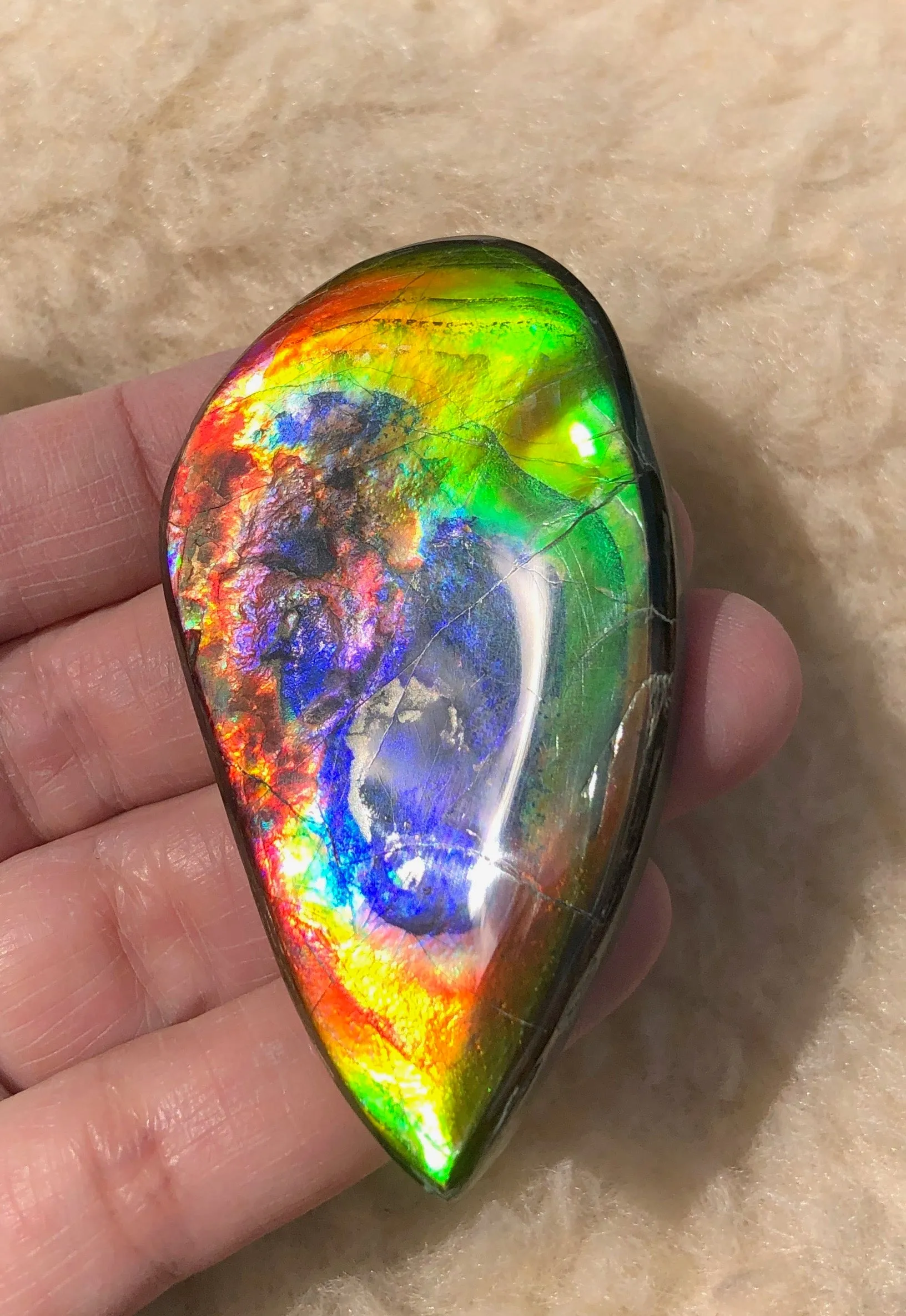 Super Rare Color!  XL! 62x34x7 mm  TOP Grade Natural  Free Form . FFNT 132 Ammolite  Free Shipping! ナチュラル　ルース　アンモライト 送料無料！