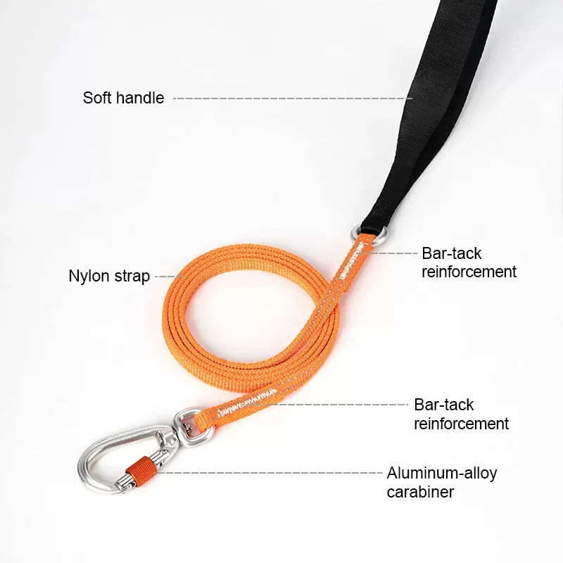 TrueLove Ultra Lightweight Reflective Leash TLL2772