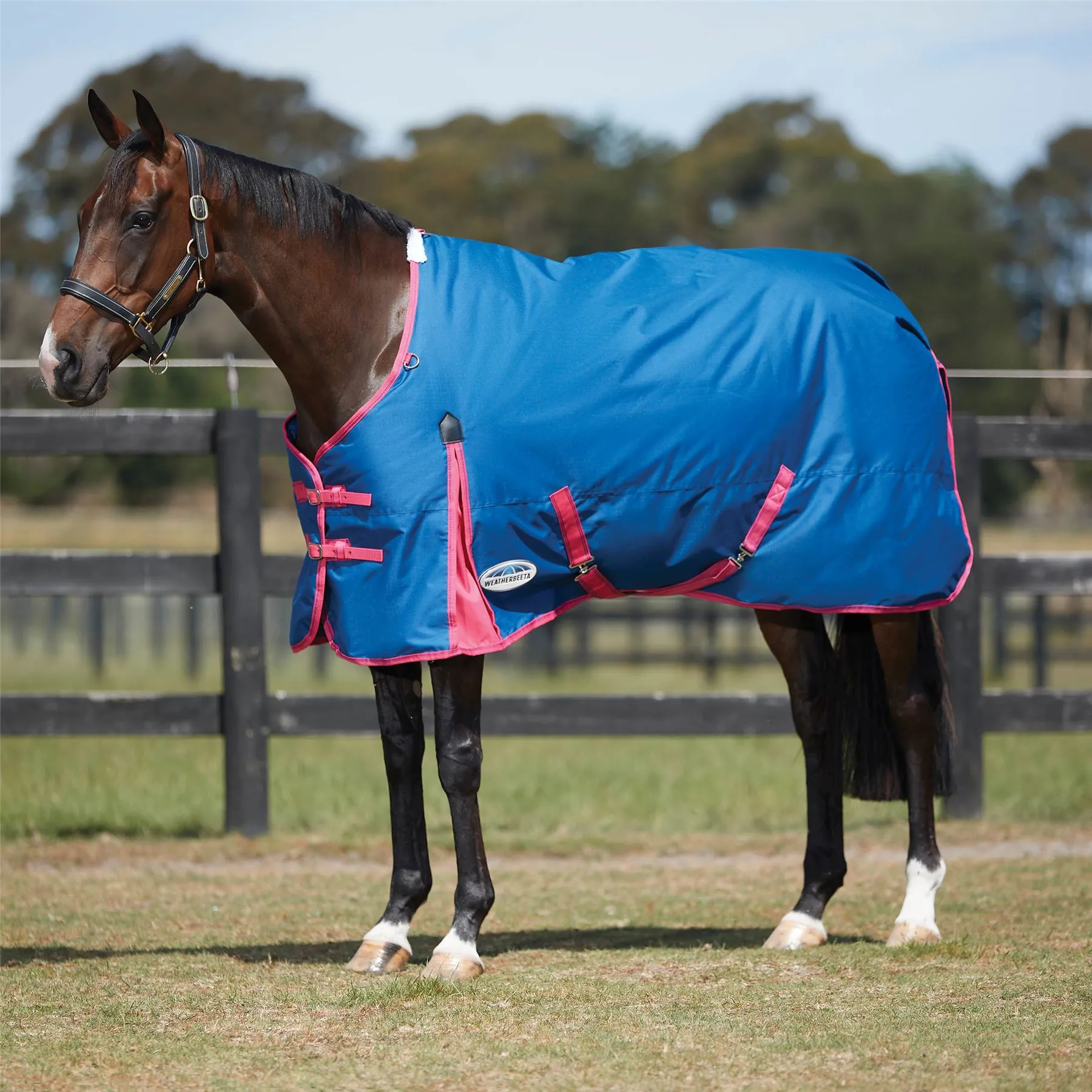 Weatherbeeta Comfitec Classic Standard Neck Medium/Lite