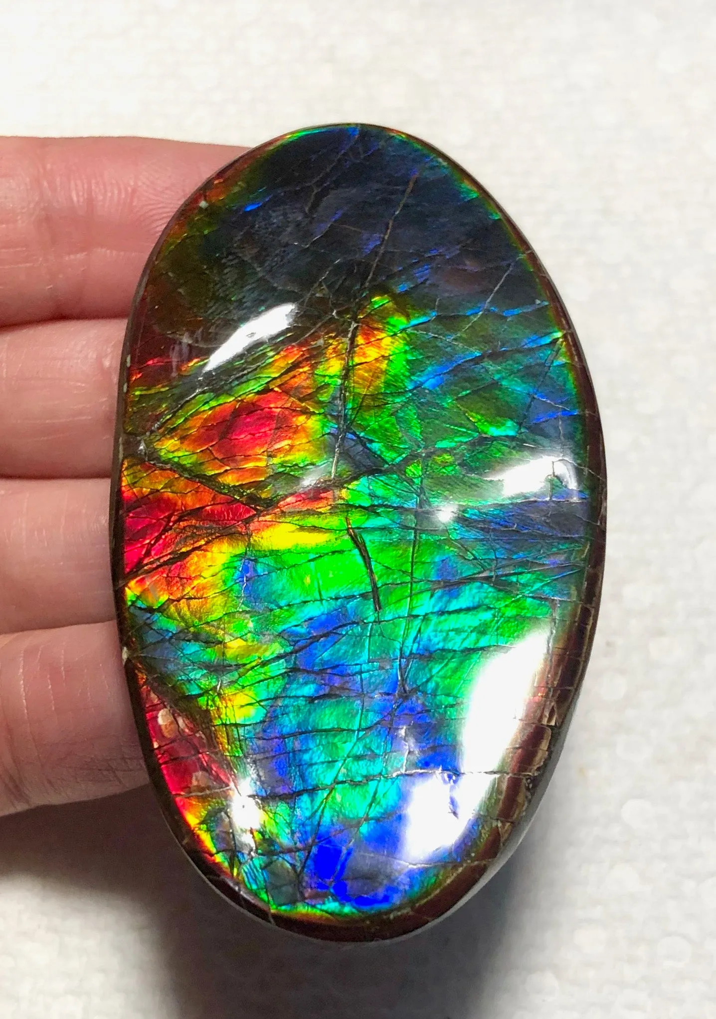 XL 63x35 mm  Top Grade Natural  Free Form . FFNT 128-2 Ammolite  Free Shipping! ナチュラル　ルース　アンモライト ケース付　送料無料！