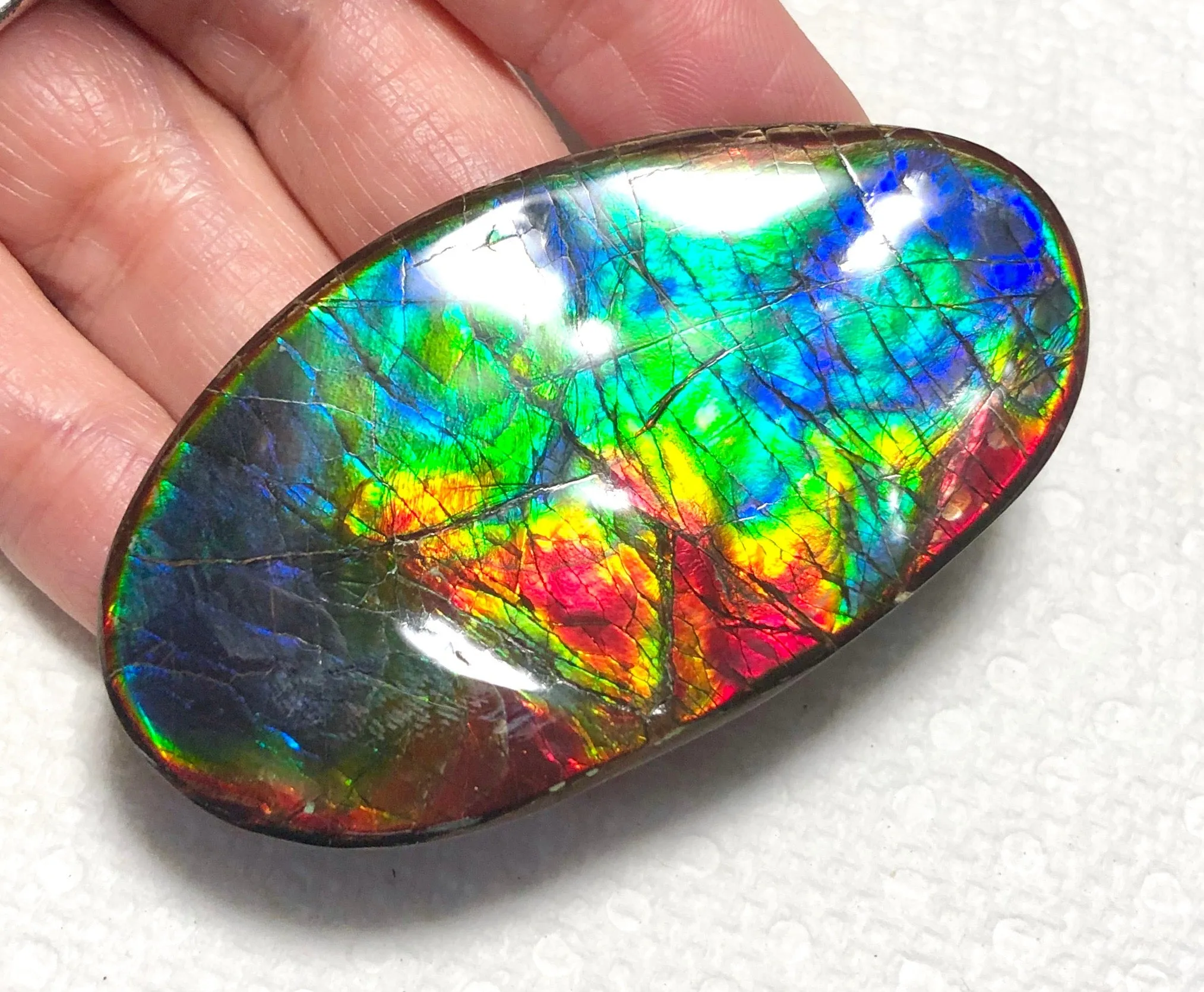 XL 63x35 mm  Top Grade Natural  Free Form . FFNT 128-2 Ammolite  Free Shipping! ナチュラル　ルース　アンモライト ケース付　送料無料！