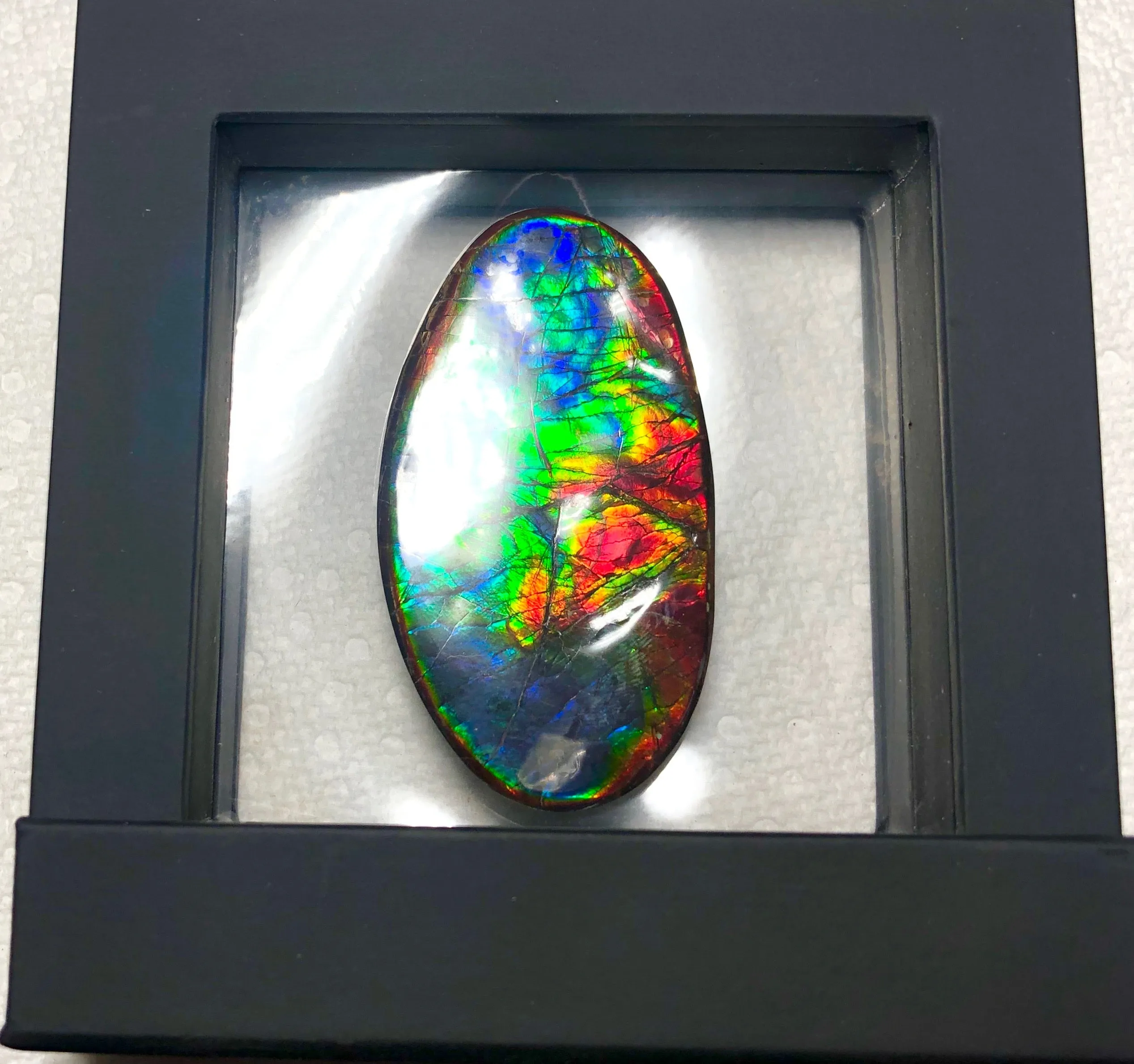 XL 63x35 mm  Top Grade Natural  Free Form . FFNT 128-2 Ammolite  Free Shipping! ナチュラル　ルース　アンモライト ケース付　送料無料！