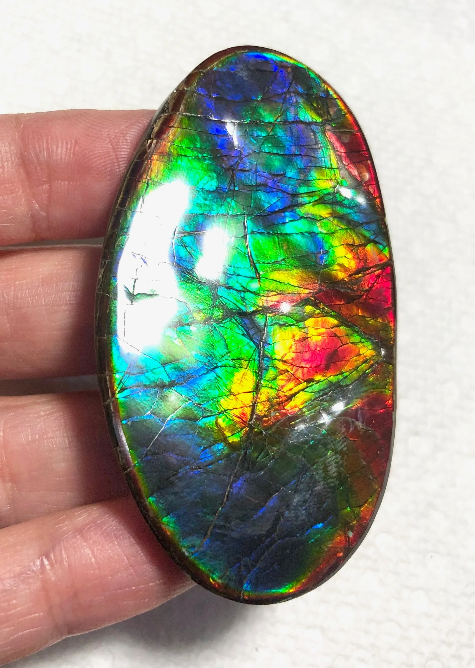 XL 63x35 mm  Top Grade Natural  Free Form . FFNT 128-2 Ammolite  Free Shipping! ナチュラル　ルース　アンモライト ケース付　送料無料！