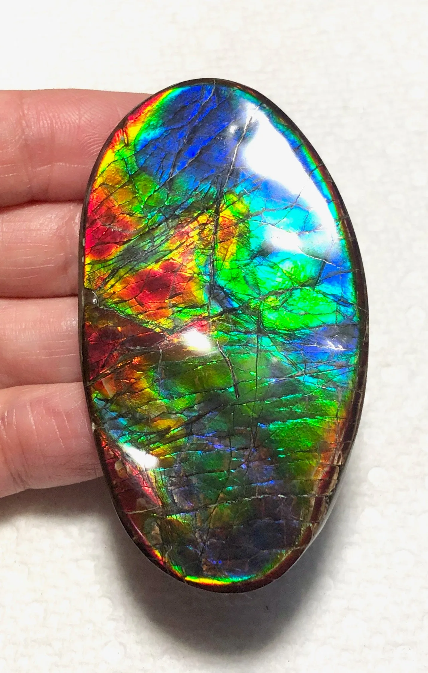 XL 63x35 mm  Top Grade Natural  Free Form . FFNT 128-2 Ammolite  Free Shipping! ナチュラル　ルース　アンモライト ケース付　送料無料！